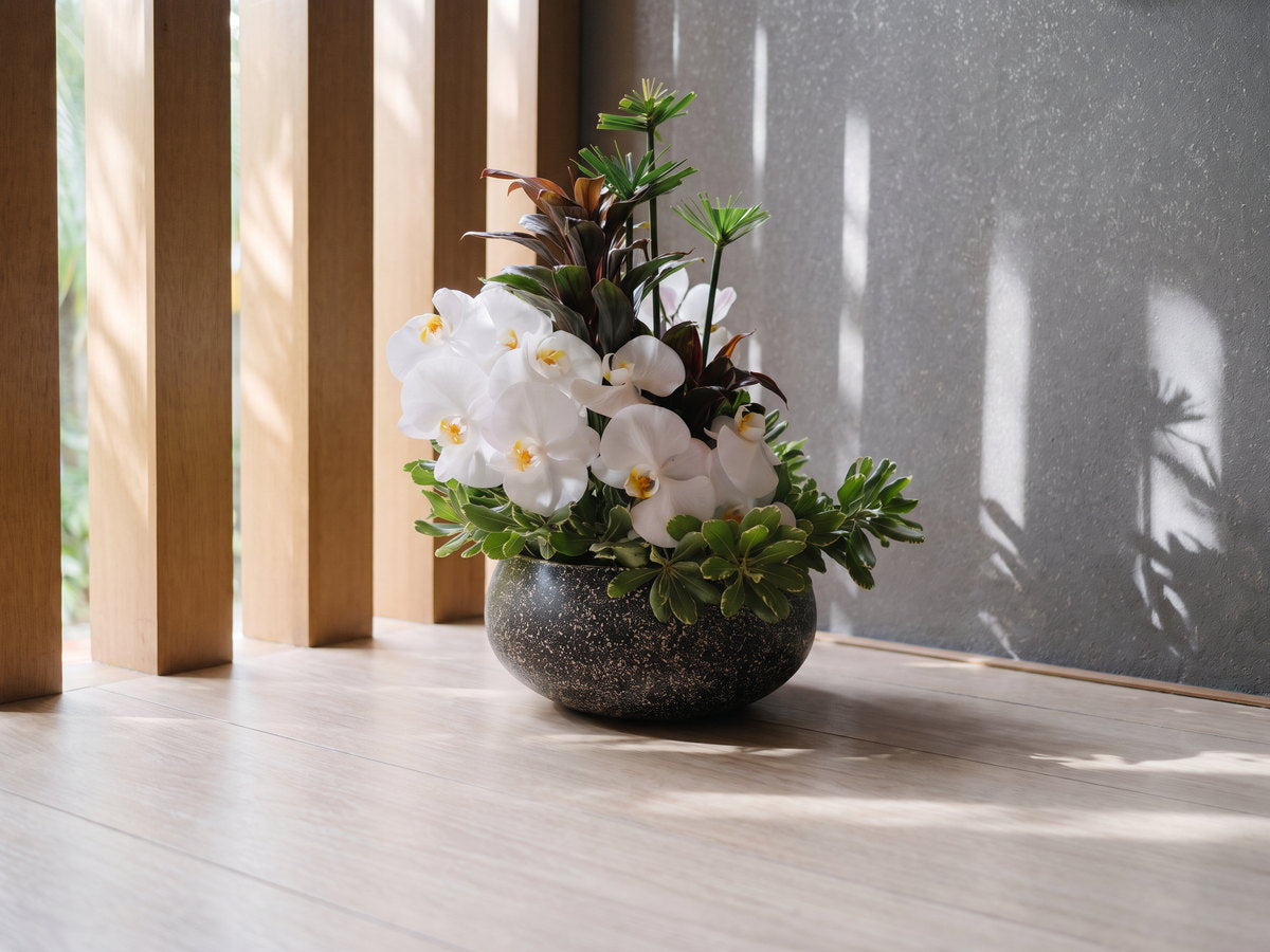 Arranjo de orquídeas brancas com folhagem vinho e hastes de papiro numa cuia baixa de pedra escura granulada, apoiada no piso de madeira clara de um lounge, encostada no painel de ripas com jardim atrás; a luz da manhã entra pelas ripas e desenha sombras de folha na parede de textura cinza ao lado.
