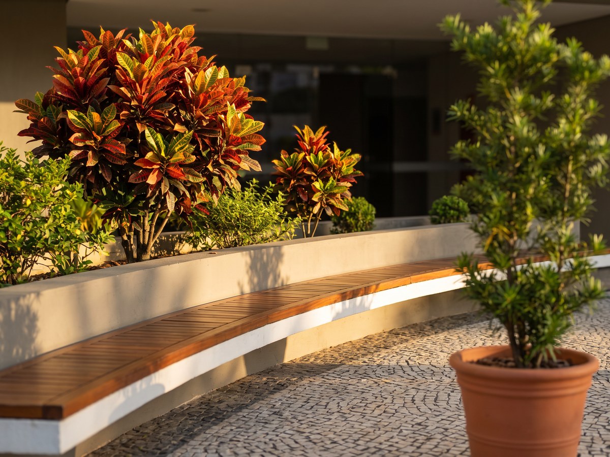 Na entrada de um prédio residencial, o canteiro elevado com um cróton grande de folhas vermelhas, laranja e amarelas, outro menor e arbustos verdes, atrás do banco curvo de madeira sobre base branca; em primeiro plano, um vaso de barro com um podocarpo. O sol baixo da tarde entra por trás das plantas e acende as folhas do cróton; ao fundo, a entrada de vidro fica na sombra.